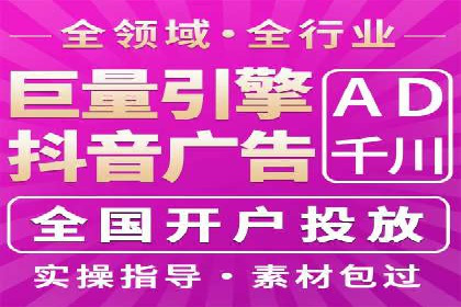 竞价广告与自然搜索的结合策略：XX网站的案例分析